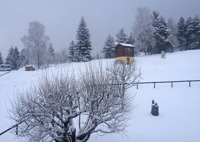 Romantic Chalet-style Flat With Mountain View Torgon