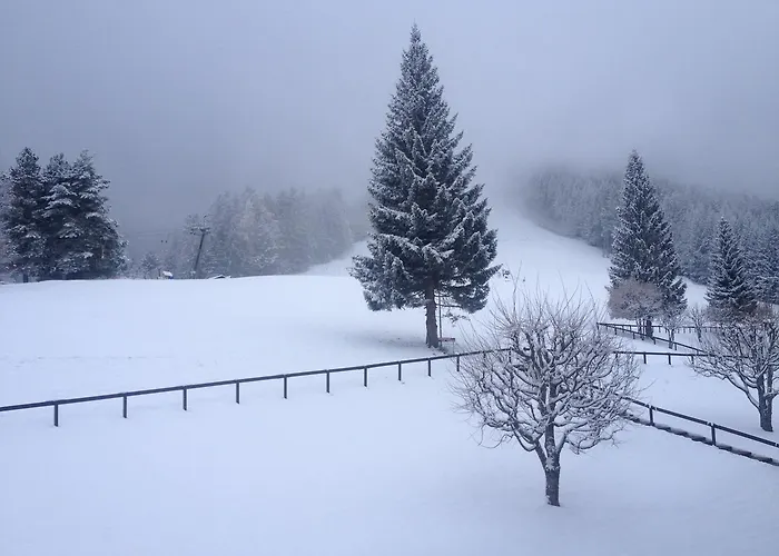 Romantic Chalet-style Flat With Mountain View Apartmán Torgon