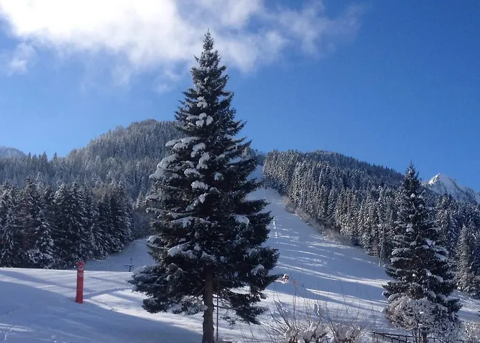 Romantic Chalet-style Flat With Mountain View * Torgon