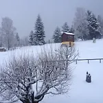 Romantic Chalet-style Flat With Mountain View Torgon