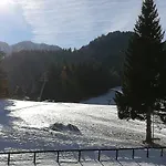 Romantic Chalet-style Flat With Mountain View *