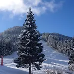 Romantic Chalet-style Flat With Mountain View * Torgon